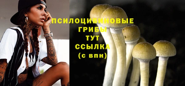 дурь Кодинск